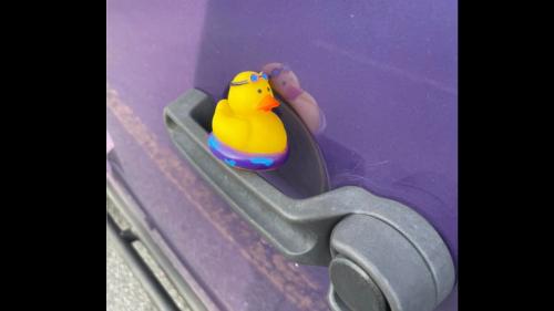 ducking παπάκια σε Jeep