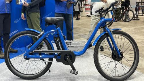 e-bike 1000 xlm