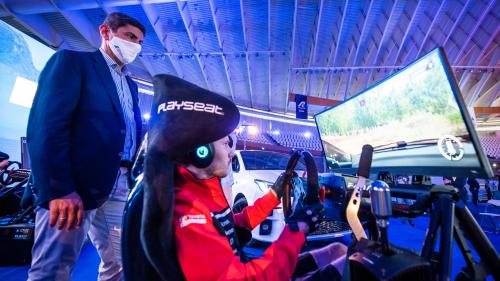 WRC eSport