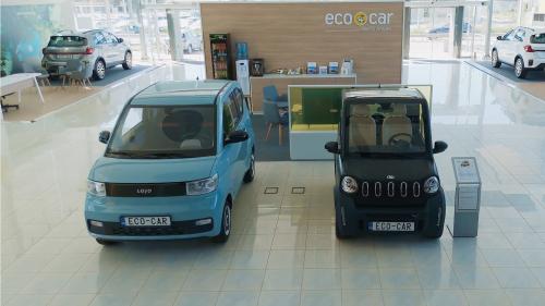 Ecocar