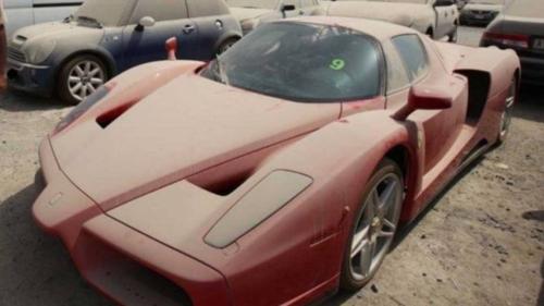 enzo