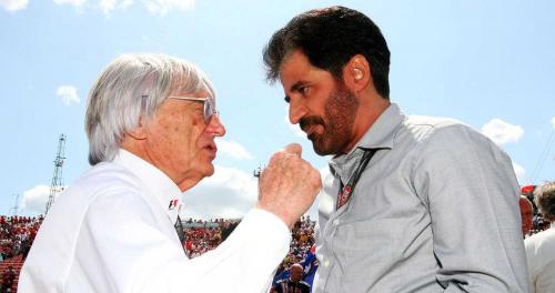 fia president