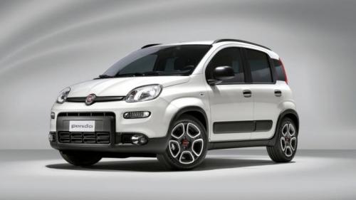 fiat panda