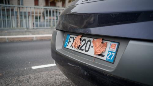 filla pinakida kikloforias
