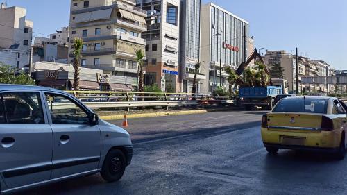 φοίνικες στη συγγρού