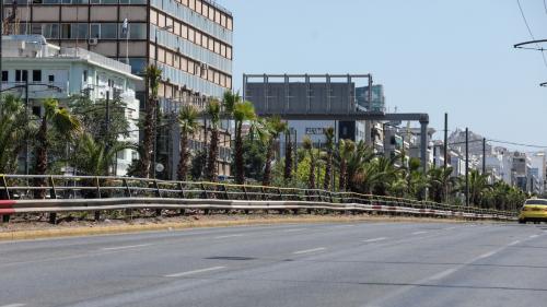 φοίνικες λεωφόρου συγγρού εικόνες πράσινη