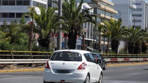 φοίνικες λεωφόρου συγγρού εικόνες πράσινη