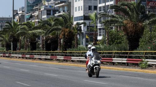 φοίνικες λεωφόρου συγγρού εικόνες πράσινη