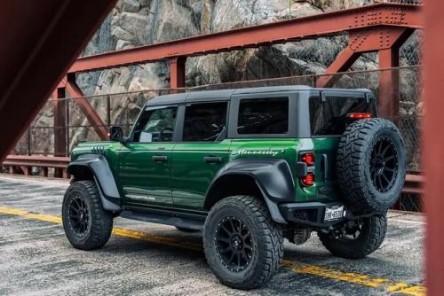ford bronco d