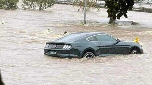 ford mustang bullitt katastrofi plimires