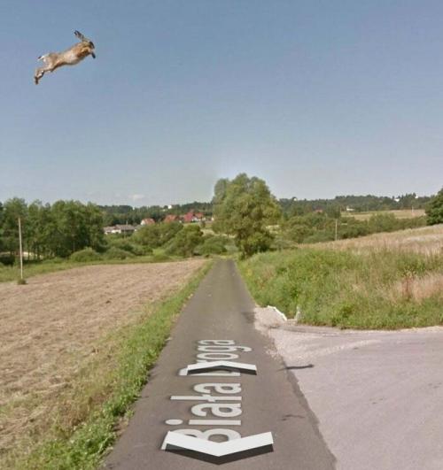 Google Street View