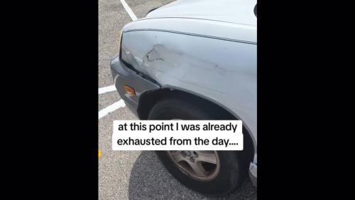hit and run Florida 1