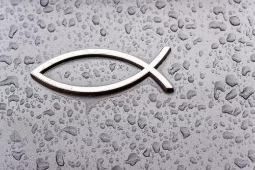 ichthys symbol on car 5