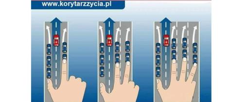 κανόνας δεξιού χεριού
