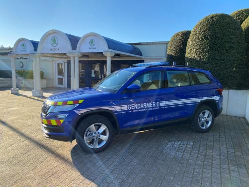 skoda police