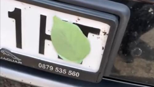 fullo se pinakida kikloforias