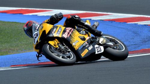 luca salvadori