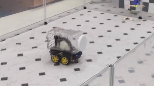 mouse-driving-3
