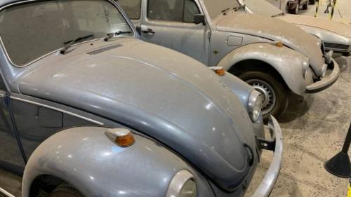 old-vw-beetles-3