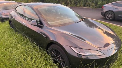 parathmena tesla