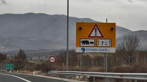 πινακίδα γνωστοποίησης παρουσίας αρκούδων στην Εγνατία Οδό