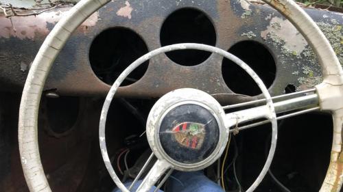 Porsche στο δάσος