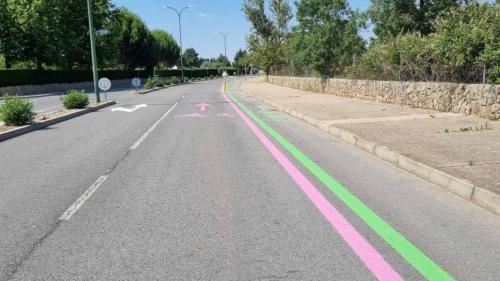 roz-prasines-grammes 3