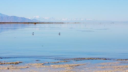 salton sea