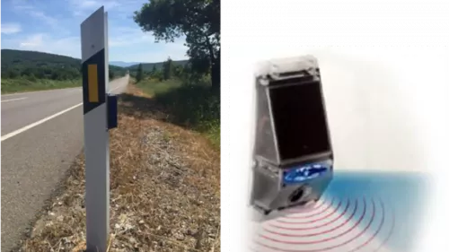 Ζώο στον δρόμο