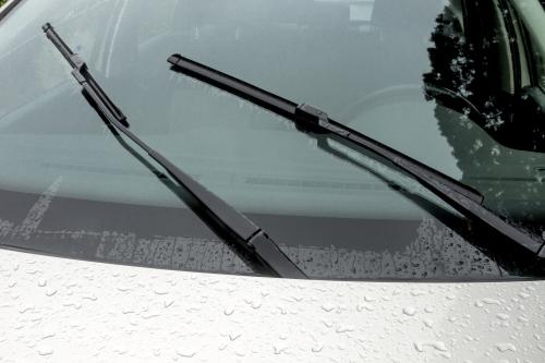 windshield 2