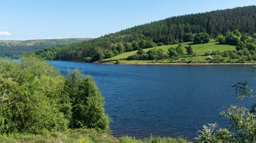 snake pass