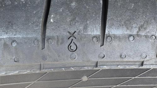 stagona nerou elastika