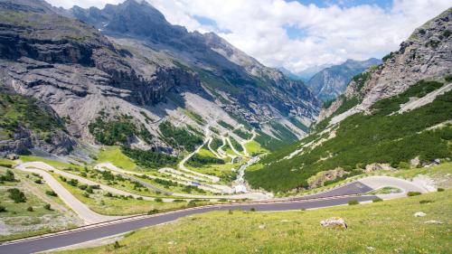 Stelvio pass officia