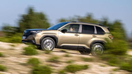 subaru forester