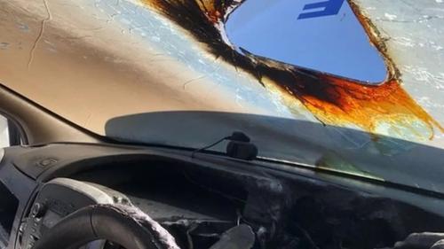 sunglasses-in-car 3