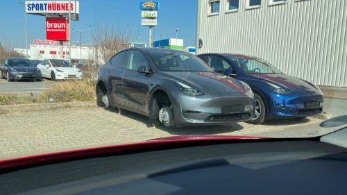 tesla kleftes