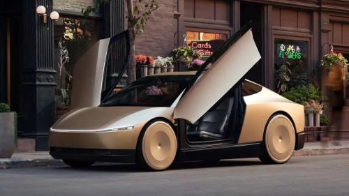 tesla robotaxi b