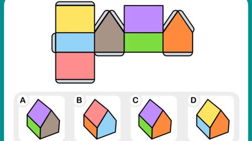 test-11