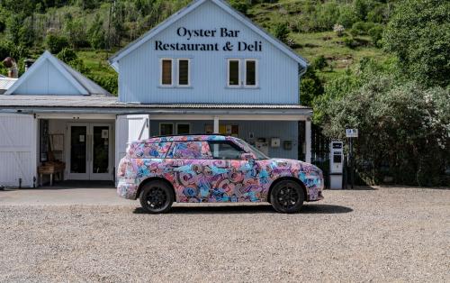 new mini countryman
