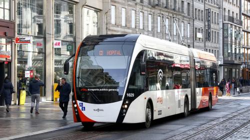 van hool