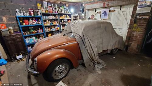 Volkswagen Beetle
