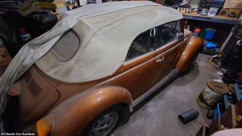 Volkswagen Beetle