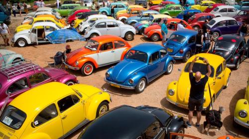 vw beetles