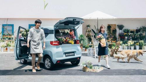 Wuling Hongguang mini