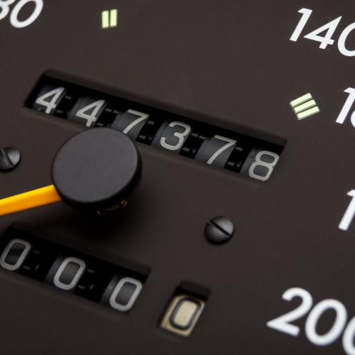 Gyrismena xiliometra 1