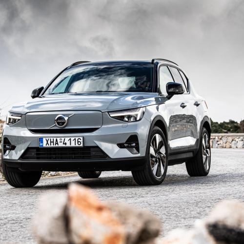 Volvo epidotis