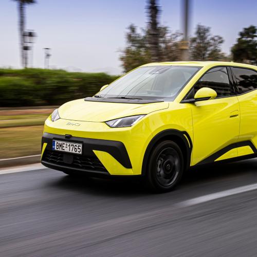 BYD DOPHIN SURF