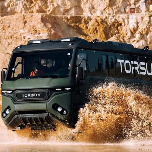 torsus savage