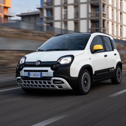FIAT Pandina 2025 1