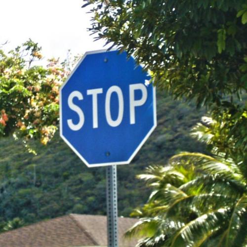 blue stop sign